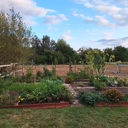 Kleine Ruhige Ferienwohnung, Monteurzimmer דירה ביליץ